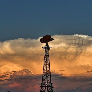 Meet your Posher, Traci